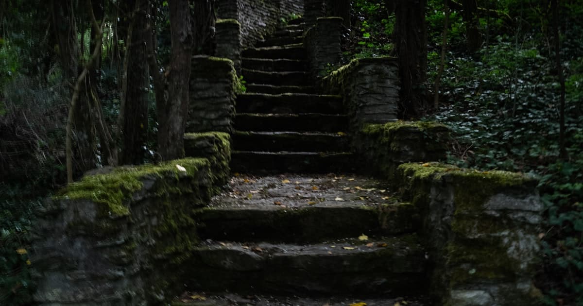 Moss-covered stone steps rising through a dark forest